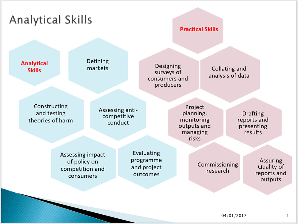 Analytical Skills Economic Policy Associates Ltd